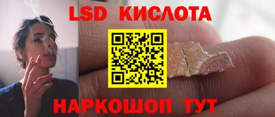 прущие грибы Вышний Волочёк