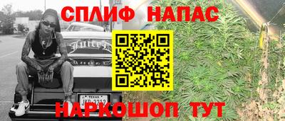 прущие грибы Вышний Волочёк