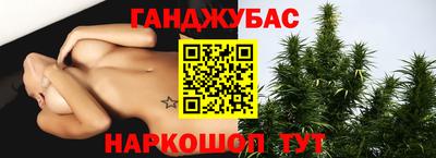 крисы Вязники