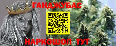 крисы Вязники