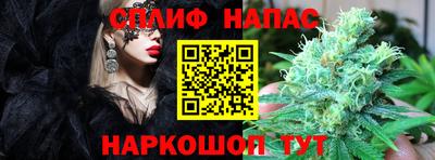 прущие грибы Вышний Волочёк