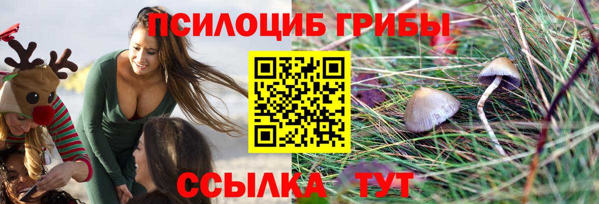 Галлюциногенные грибы Тихорецк